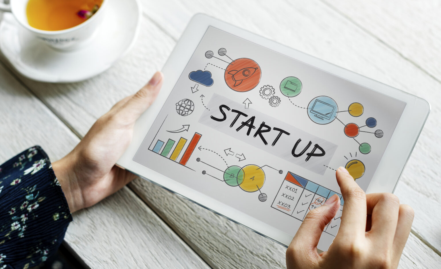 Professional Brand Development Services